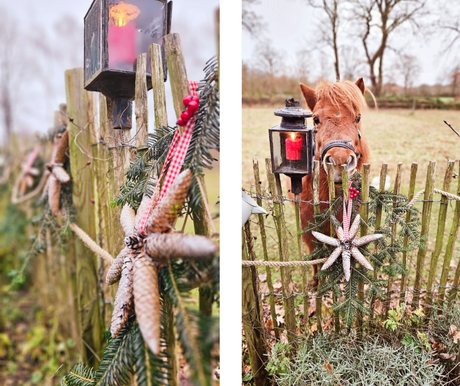 DIY-Stern-Girlande: Ein persönliches Highlight für die Weihnachtszeit