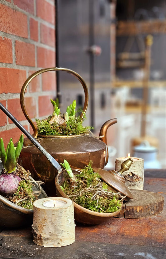DIY - Deko mit Blumenzwiebeln und selbstgemachten Teelicht aus Holz