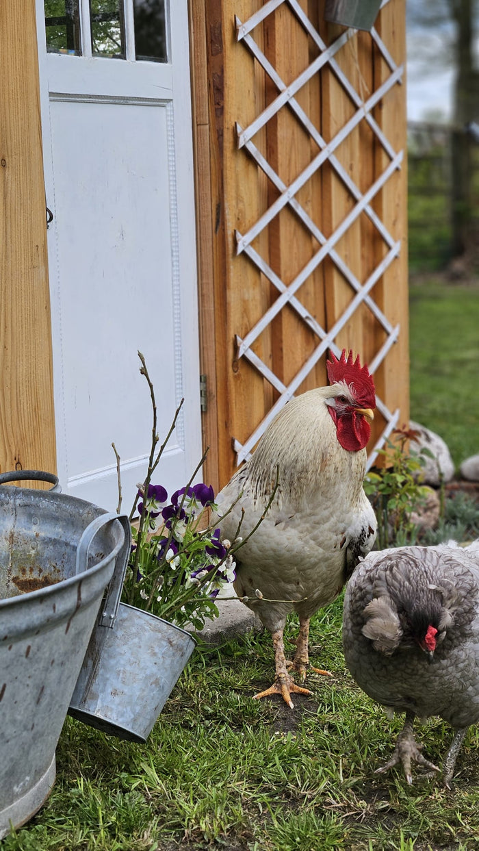 DIY - Spielhaus für den Garten