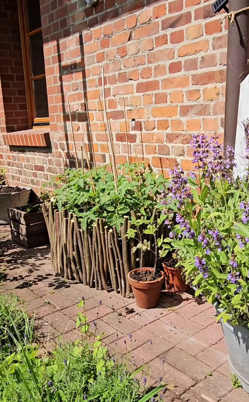 Praktischer, rustikaler Blumentopf günstig selbstgemacht